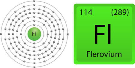 Flevovium Shellのイラスト素材