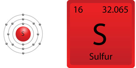 Sulfur Shellのイラスト素材