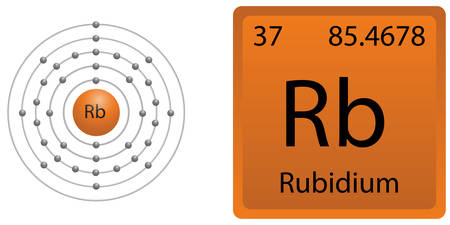 Rubidium Shellのイラスト素材