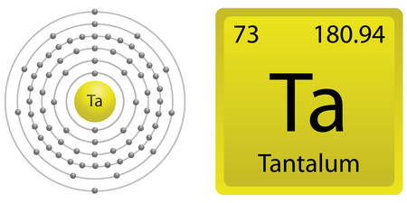 Tantalum Shellのイラスト素材
