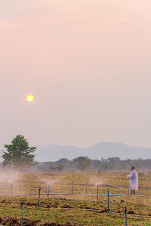 While the sunset it's a time to sprinkler