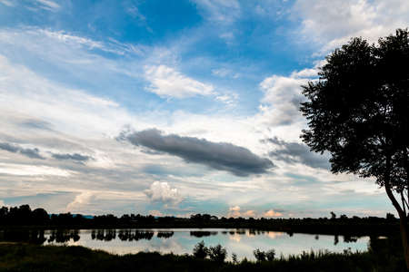 Silhouette of tree in the cloudy day.の写真素材