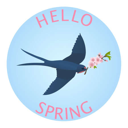 Spring background, greeting card with a swallow flying in the sky with a twig of blooming apple tree. Vector.のイラスト素材