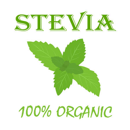 Natural organic stevia banner. Vector illustration in flat style.のイラスト素材