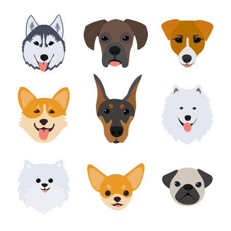 Dog head icons. Vector FLAT illustration isolated on white background.のイラスト素材