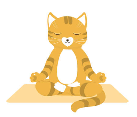 Cartoon funny cats doing yoga position isolated Vector illustrationのイラスト素材
