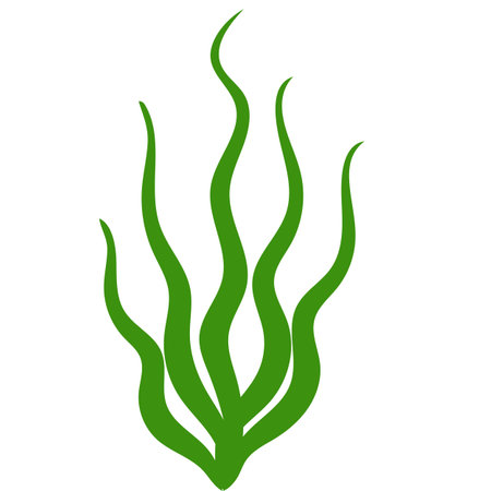 Cute aquarium plants. Vector illustration in cartoon styleのイラスト素材