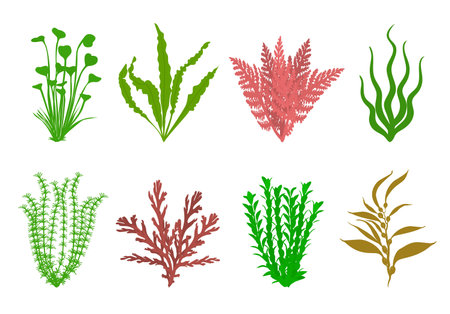 Cute aquarium plants set. Vector flat illustrationのイラスト素材