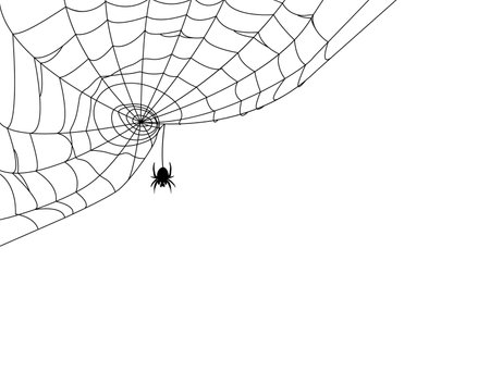 Black spider and web. Scary spiderweb of halloween . Vector illustrationのイラスト素材