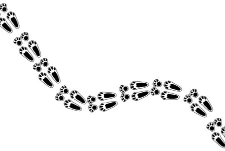 Bunny paw print trail. Isolated illustration on a white background. Vector illustrationのイラスト素材