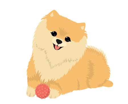 Cute dog spitz with a ball .Vector flat illustrationsのイラスト素材