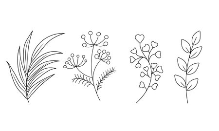 Floral set of hand drawn botanic elements. Vector illustrationのイラスト素材