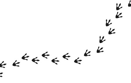 Cute dinosaur footprints. Isolated illustration on a white background. Vector illustrationのイラスト素材