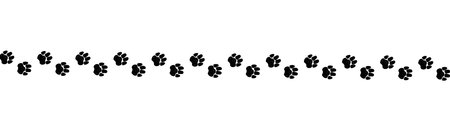 A path of paw prints of pets, dog or cat drawn in grunge style. Vector illustration drawn with chalk or charcoal on white background.のイラスト素材