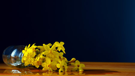 Yellow flowers in fallen bottle with water on blue background. reflection in water. The minimal concept. copyspace.の写真素材