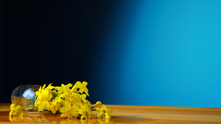 Yellow flowers in fallen bottle with water on blue background. reflection in water. The minimal concept. copyspace.の写真素材