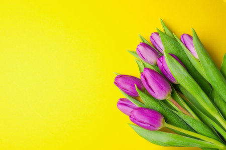 Bouquet of purple tulips on yellow background. Mothers day, Valentines Day, Birthday celebration concept. greeting card. Copy space, top view.の写真素材