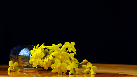 Yellow flowers in fallen bottle with water on blue background. reflection in water. The minimal concept. copyspace.の写真素材