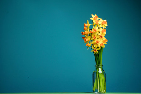 spring composition. Yellow flowers daffodil in transparent bottle with blue background. mother's day concept. copyspace.の写真素材