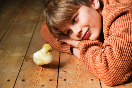 Pedigree chickens. Happy child girl holding chicken in her hands. Communication of child with animals, animal therapy. Boy holding small yellow chicken in his palms. Poultry farm. Hatched from an egg.の写真素材