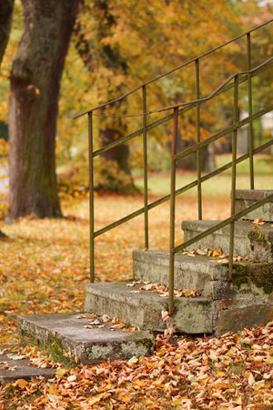 stone staircase with old iron railings background autumn treesの写真素材