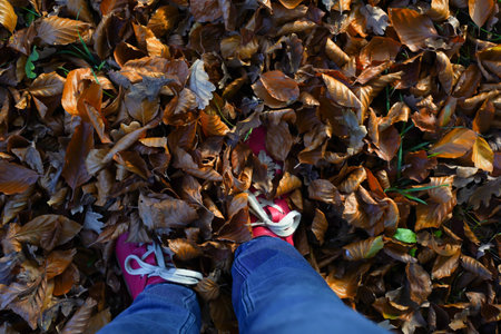 Fall landscape, autumn, leaves, legs and shoes. Conceptual image of legs in red sneakers on the autumn leaves. Feet shoes walking in nature.の写真素材