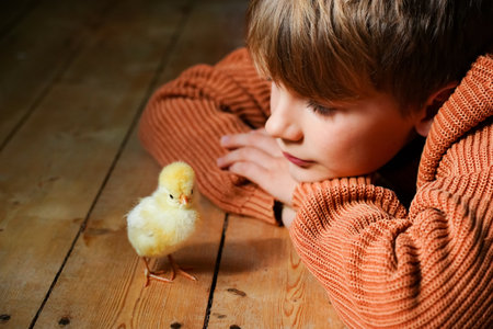 Happy child boy looking with love at small newborn yellow baby chick. Communication of child with animals, animal therapy. Poultry farm. Hatched from an egg. Pedigree chickens. copyspace. close up.の写真素材