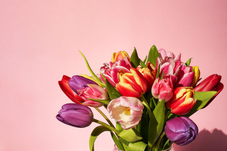 Colorful tulips bouquet on a pink background. greeting card. Close up, copy space.の写真素材
