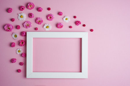 Flat lay, creative layout of blossoms, buds and petals of cherry, plum and daisy flowers with frame on a pink background. Prunus Triloba Louisiana. Greeting card mockup. copyspace.の写真素材
