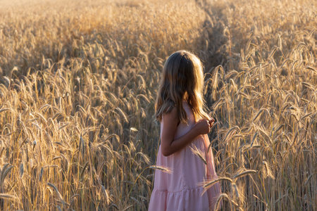 A girl looking at a wheat field with beautiful sunset light, view from the side. Wheat field nature...
