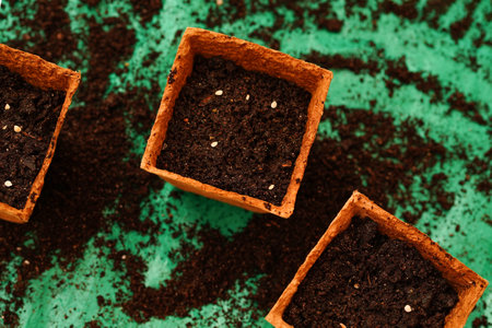 Top view of three square biodegradable pots filled with dark, moist soil. Small, visible seeds of tomato are planted in soil, ready for germination. Eco-friendly planting, beginning of growing seasonの写真素材