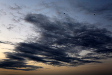 Birds fly towards clouds.