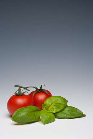 Tomato and Basil herb on a plain backgroundの写真素材
