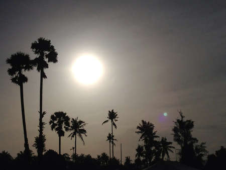 Silhouette sunの素材