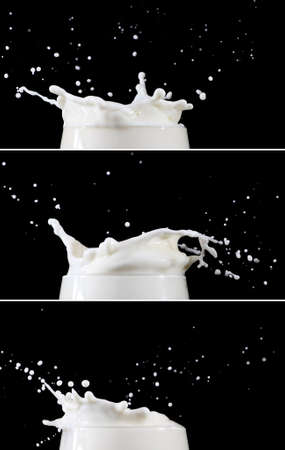 Milk splashesの写真素材