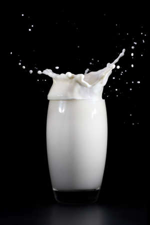 Milk splashing into glassの写真素材