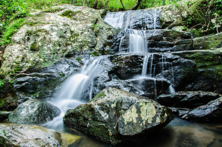 Beautiful Lush Waterfall