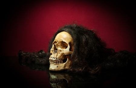 skull still lifeの写真素材