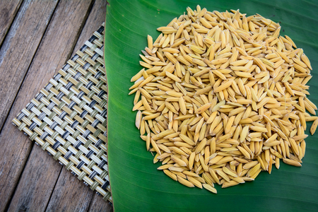 Paddy or unmilled riceの写真素材