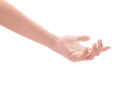 female hand isolated on white backgroundの写真素材