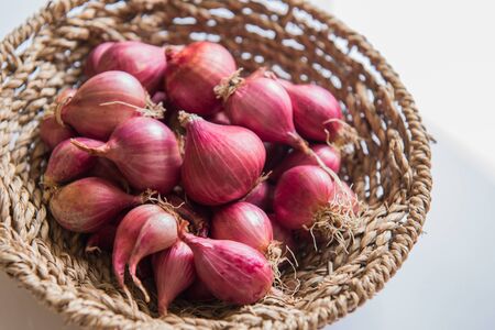 Red onionの写真素材