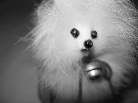 A stuffed dogの写真素材