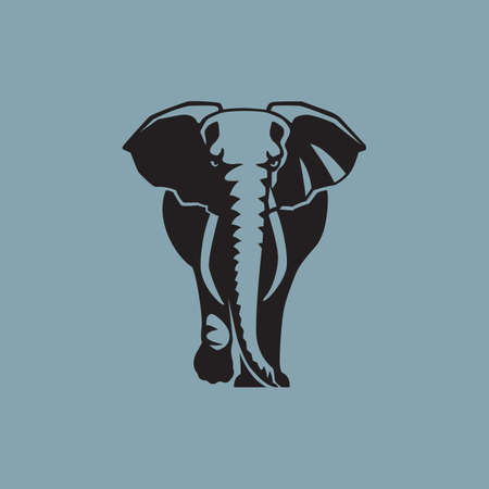 elephant on blue background vector illustrationの写真素材