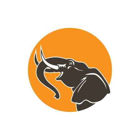 head elephant sign logo emblemの写真素材