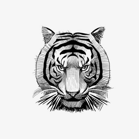 Tiger face drawing vector illustration animal badge bengalのイラスト素材