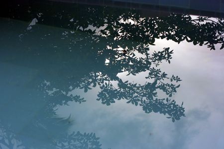 Reflectionの写真素材