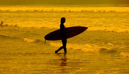 Female Surfer Silhouette