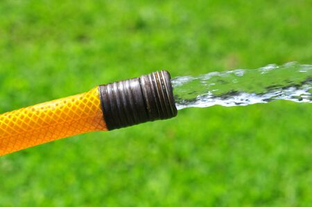 Water flowing from a garden hose over the green grassの写真素材