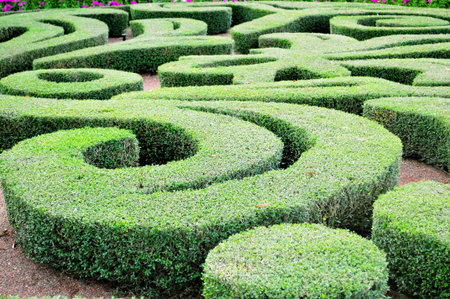 Beautiful laberinth design in a house garden