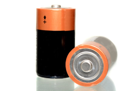 Couple of big type D batteries isolated on white